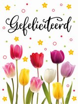 Carte - Format A4 - Félicitations - Tulipes - MAX001