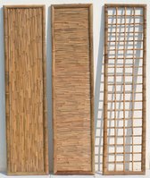 Intergard Bamboescherm Wuhan 180x45cm