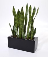 Sanseveria kunstplant 80 cm steker