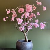 Seta Fiori plant de fleurs de Cherry / arbre - rose - 75cm haute