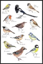 JUNIQE - Poster in kunststof lijst Vogel illustratie -40x60 /Kleurrijk