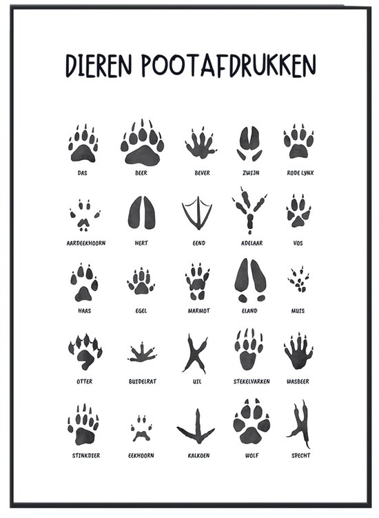 Affiche Empreintes d' Animaux No Filter - 21x30 cm (format A4) - Empreintes de pattes - Traces d'animaux - Éducatif la pépinière