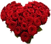 Rode rozen hart vorm boeket (40 rozen)