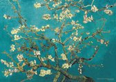 Vincent van Gogh poster - Amandelbloesem - Almond Blossom - kunst - 50 x 70 cm