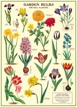 Poster Bloemen - Cavallini & Co - Schoolplaat Garden Bulbs