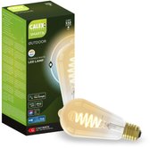 Bol.com Calex Smart Outdoor Smart LED Lamp - E27 - Slimme ST64 Bluetooth Mesh Bulb - RGB en Warm Wit Licht - Goud - 7W aanbieding