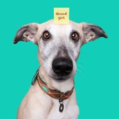 DWAM Dog with a Mission – Halsband hond – Hondenhalsband – Bruin – XXS – Leer – Halsomvang tussen 19-24 x 2 cm – Joplin