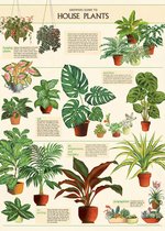 Poster House Plants - Cavallini & Co - Schoolplaat Botanical