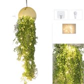 CNL Sight Wand decoratie - Ronde stijlvolle muur plantenbak set met Hak, spijker, LED-verlichting en Kunstbloemen- DIY bloemstuk-Muur Bloempot set -hangende bloempot set - ronde ijzeren-Wit & kunst groene wijnstok
