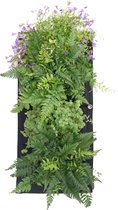 Jardin vertical étanche - 4x poches - 30x65cm - Convient pour le jardinage vertical à l'intérieur de la maison - Zwart - Feutre durable